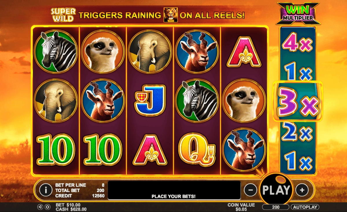 €77 Casino Tournament at Golden Lion Casino