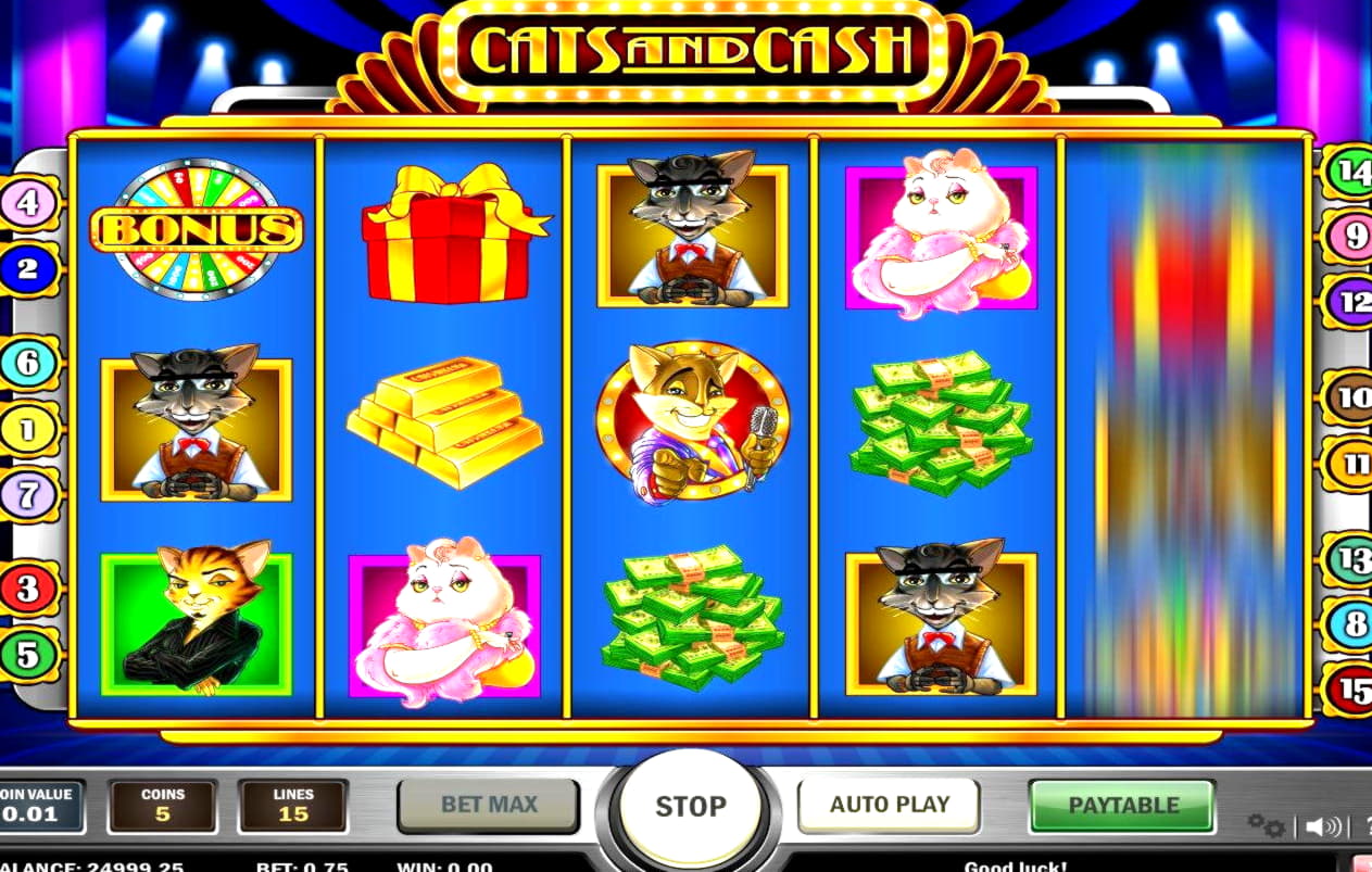 220 Free spins at CoolCat Casino