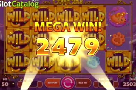 $105 Daily freeroll slot tournament at Cash Bull Casino 