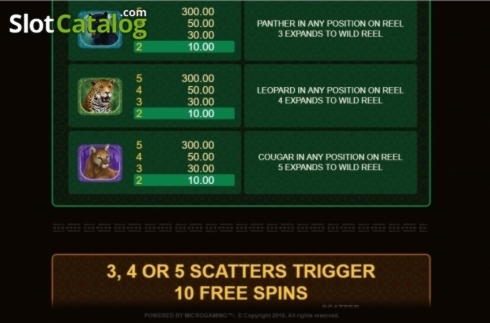 55 free spins no deposit casino at BoVegas Casino