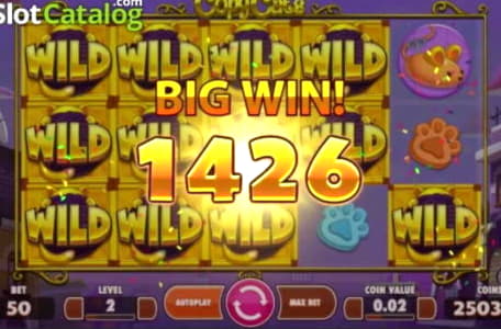 EUR 222 Free Cash at Planet 7 Casino