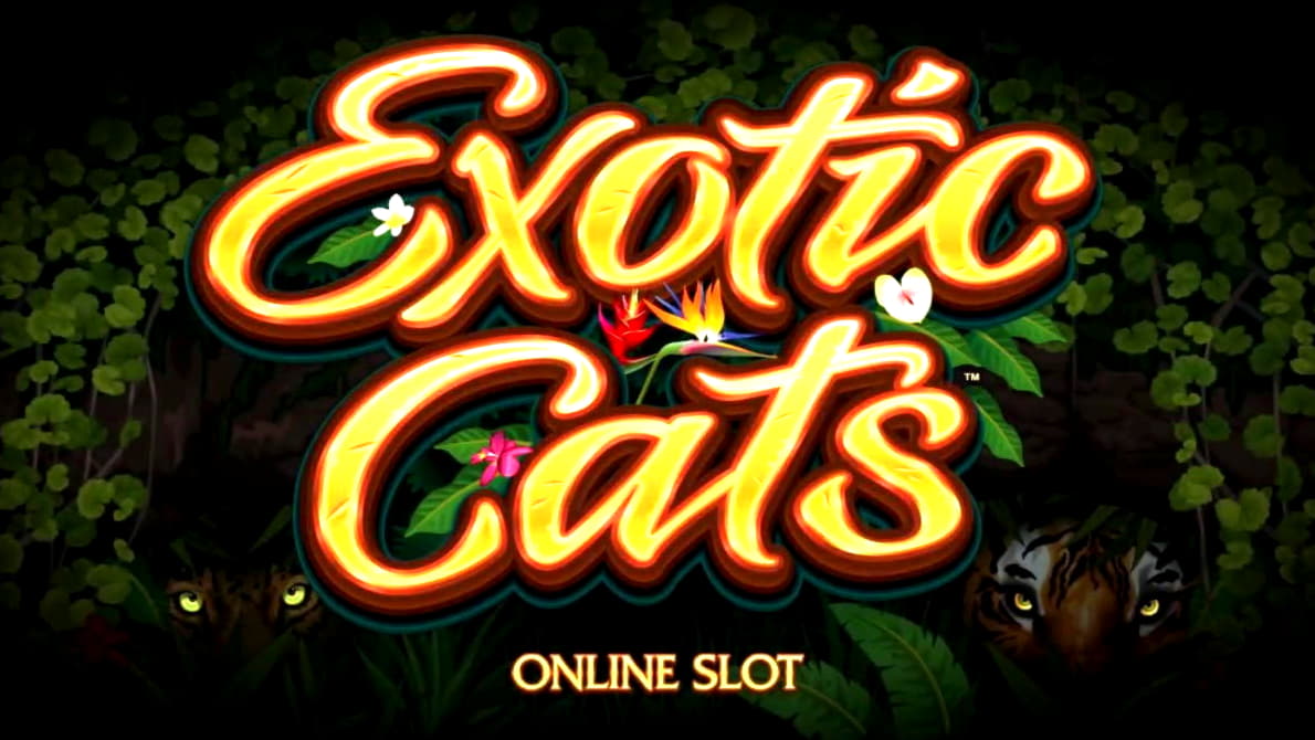 €165 Free Casino Chip at Two-Up Casino