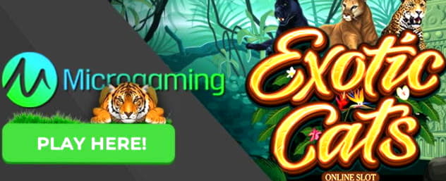 ﻿$525 Online Casino Tournament at Joe Fortune Casino