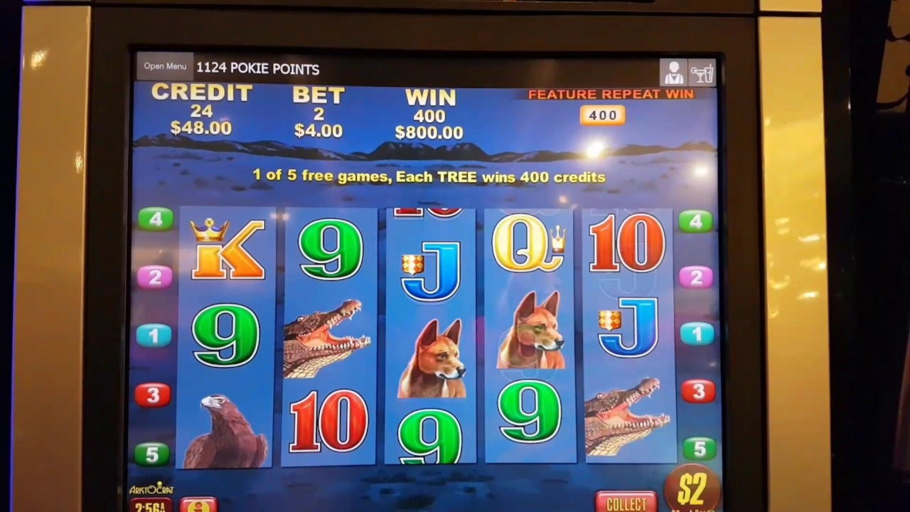 530% No Rules Bonus! at All Slots Casino