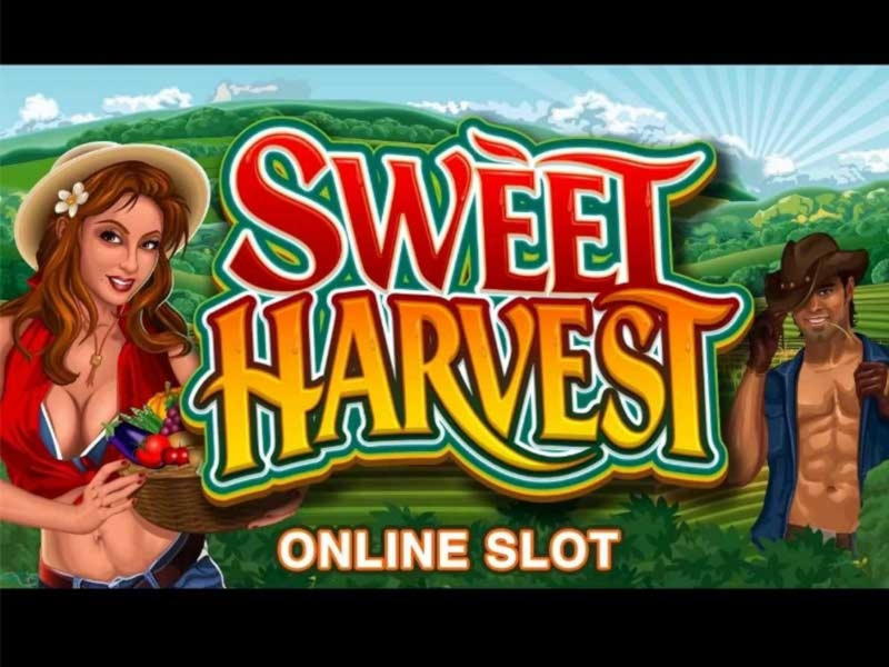 125 Free spins no deposit casino at Slots Of Dubai Casino