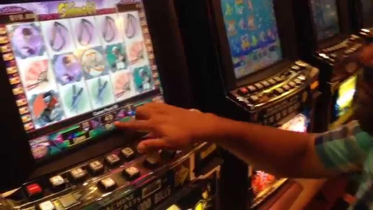 490% First Deposit Bonus at 7 Sultans Casino
