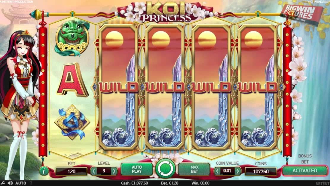 ﻿$260 Daily freeroll slot tournament at Vegas Casino Online