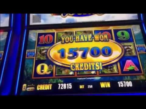 €70 Casino Tournament at CoolCat Casino