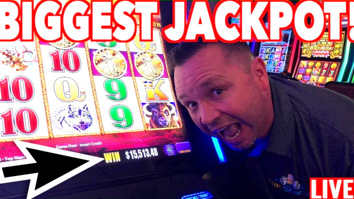 230 Free spins no deposit at CoolCat Casino