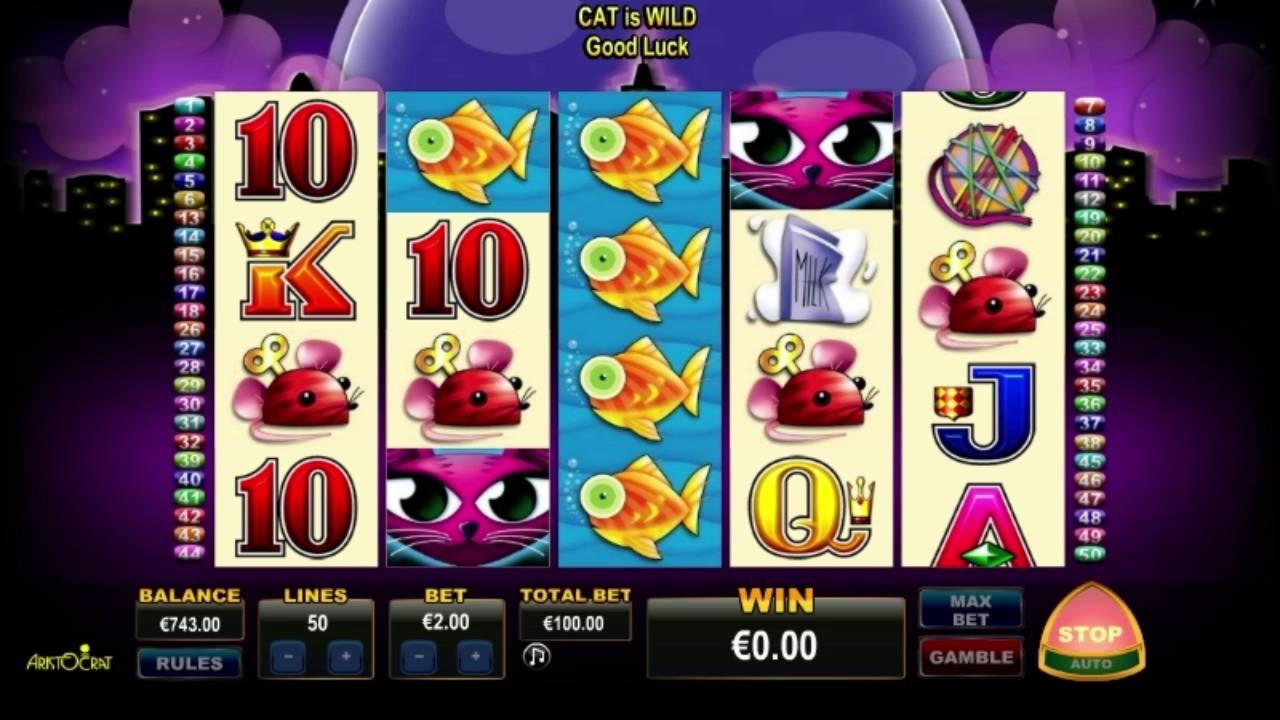 955% Match at a casino at Red Ping Win Casino