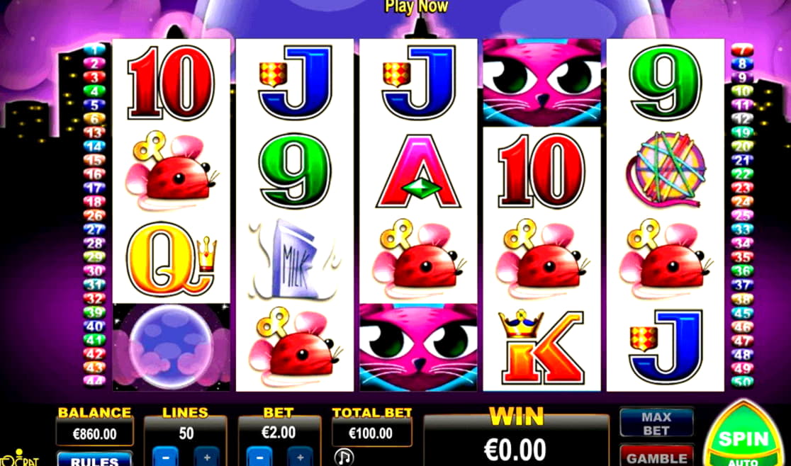 £245 Casino tournaments freeroll at Fair Go Casino