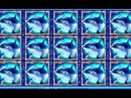 EUR 444 Free Casino Tournament at Slots Of Dubai Casino