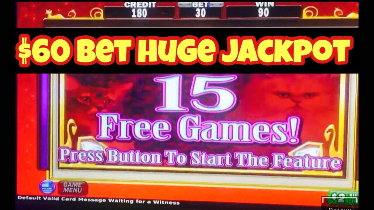 245 Free spins casino at The Best Casino 