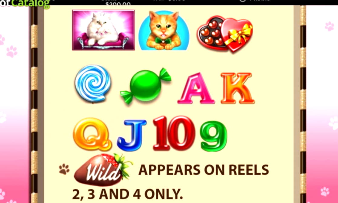 $190 Casino Tournament at 7 Sultans Casino