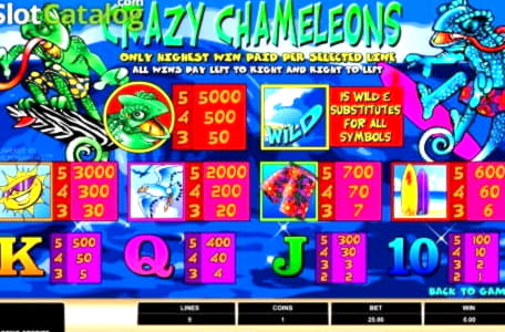 EURO 425 Casino chip at Golden Lion Casino