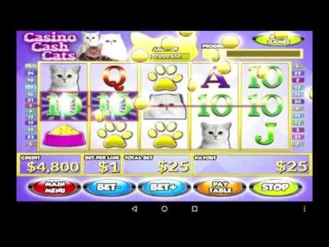 50% No Rules Bonus! at CoolCat Casino