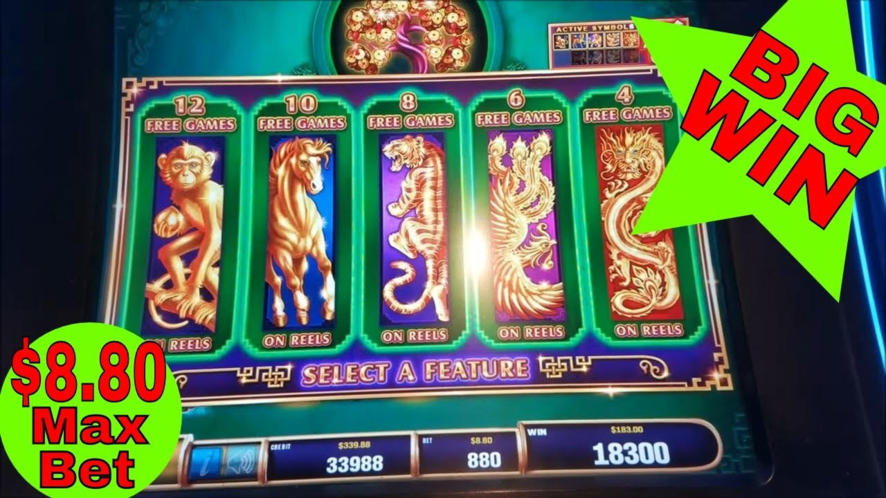 €795 Casino tournaments freeroll at 7 Sultans Casino