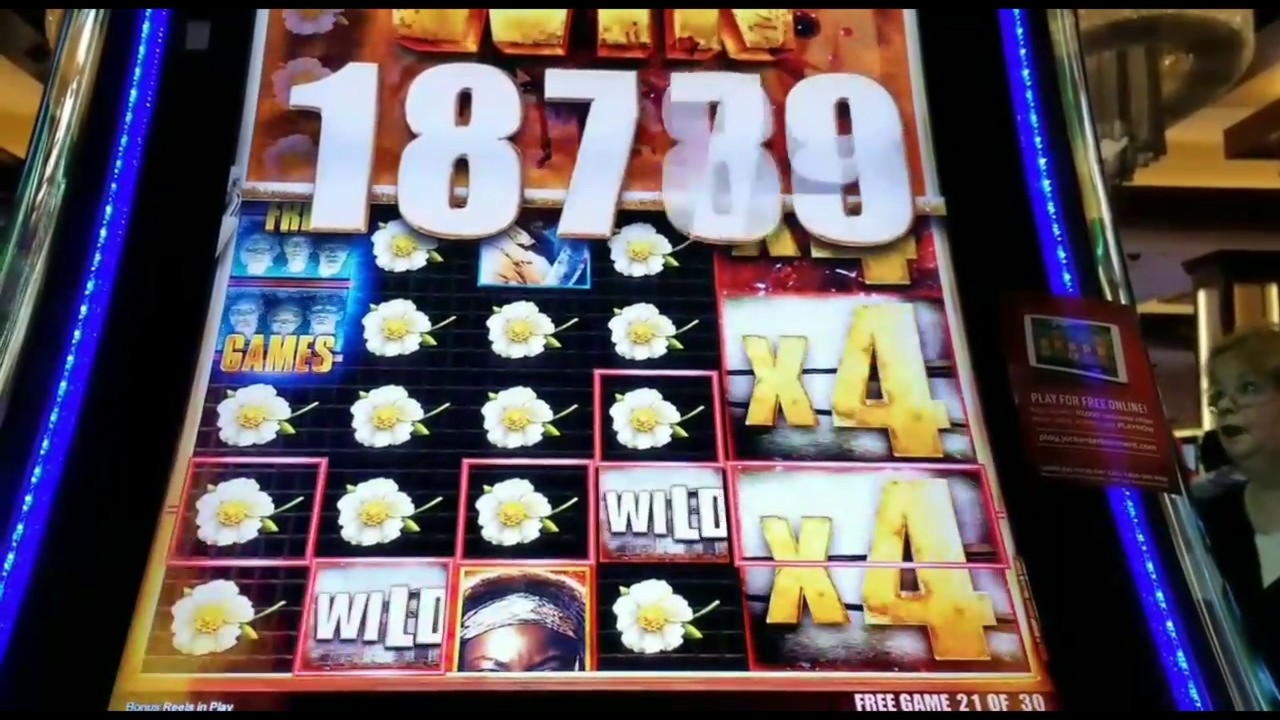 33 free spins at Rich Casino