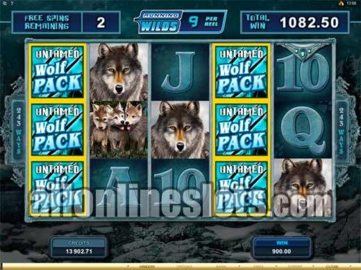 EUR 645 Daily freeroll slot tournament at CoolCat Casino