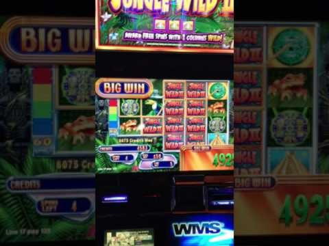 $3620 NO DEPOSIT BONUS CASINO at The Best Casino 