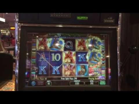 35% casino match bonus at CoolCat Casino