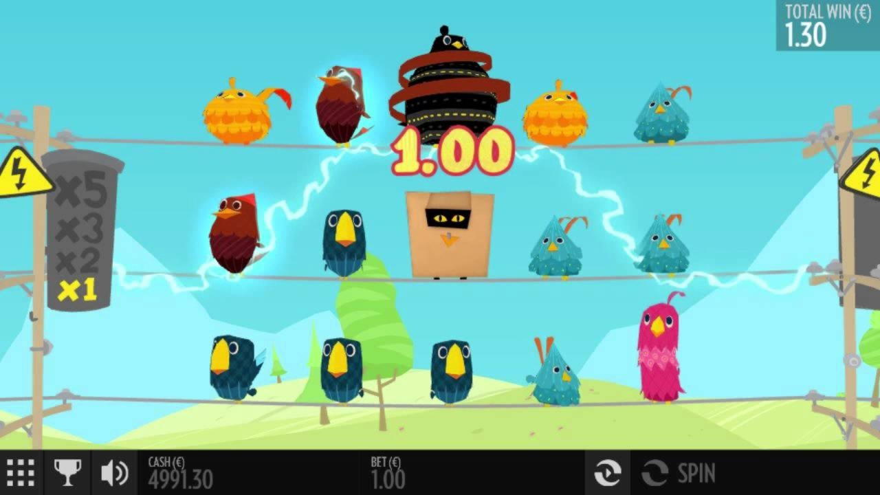 Eur 550 Daily freeroll slot tournament at CoolCat Casino