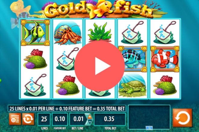 Eur 640 Free Chip Casino at Slotscom Casino