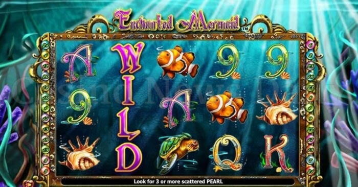 Eur 760 Daily freeroll slot tournament at Slotscom Casino