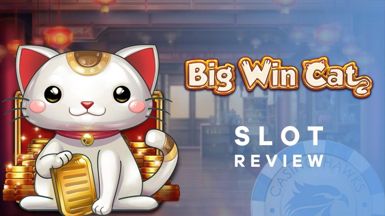 Eur 410 free casino chip at Treasure Island Jackpots Casino (Sloto Cash Mirror)