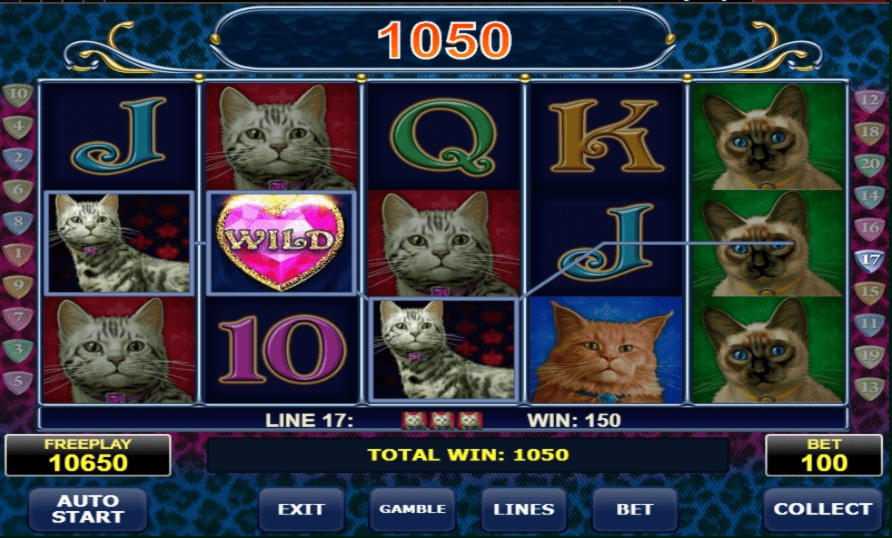 365% Signup Casino Bonus at 24 VIP Casino