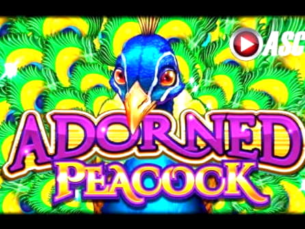EUR 333 Casino Chip at Treasure Island Jackpots Casino (Sloto Cash Mirror)