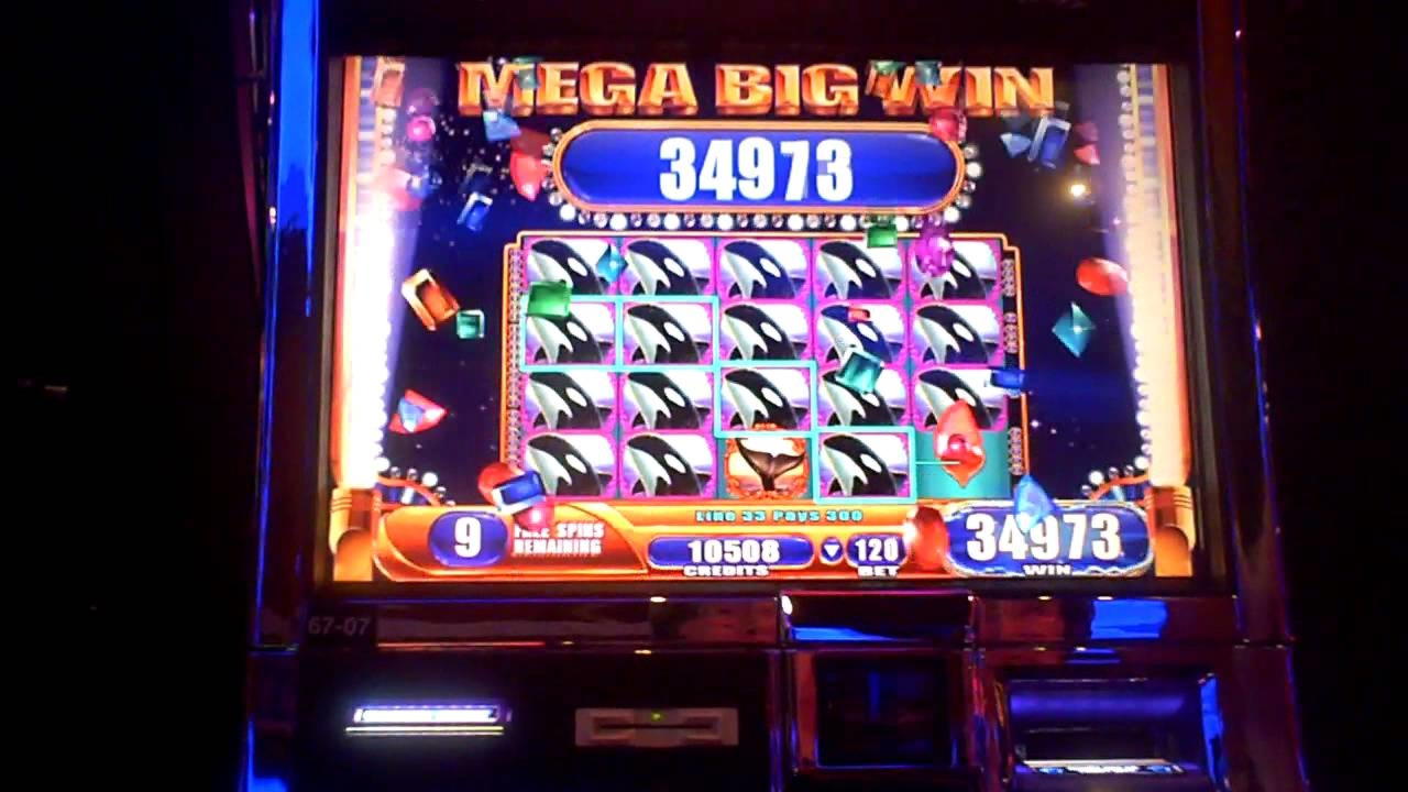 £630 Daily freeroll slot tournament at CoolCat Casino