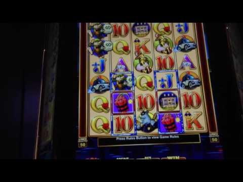 $850 NO DEPOSIT CASINO BONUS at CoolCat Casino