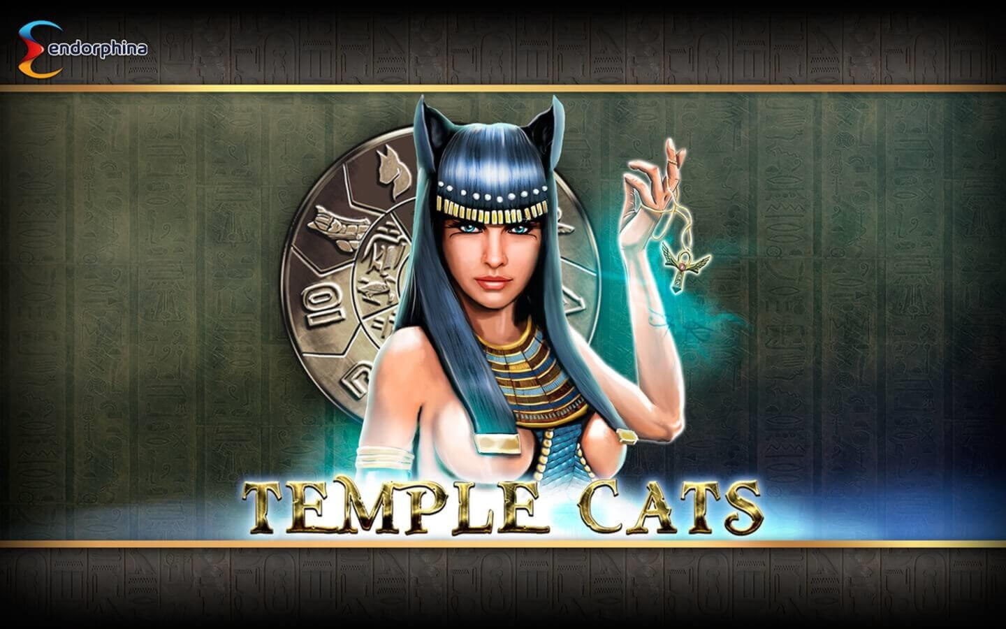 145 Free Spins no deposit casino at Treasure Island Jackpots Casino (Australia Casino Mirror)