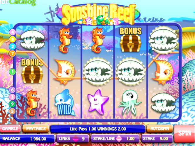 €935 Daily freeroll slot tournament at Slots Of Dubai Casino