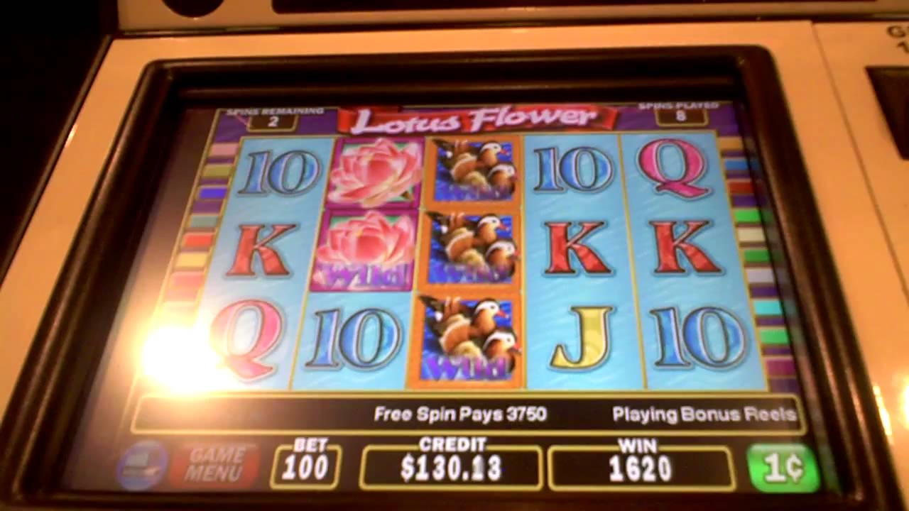 55 FREE SPINS at Czech Republic Casino 