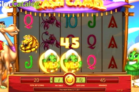 €666 Tournament at CoolCat Casino