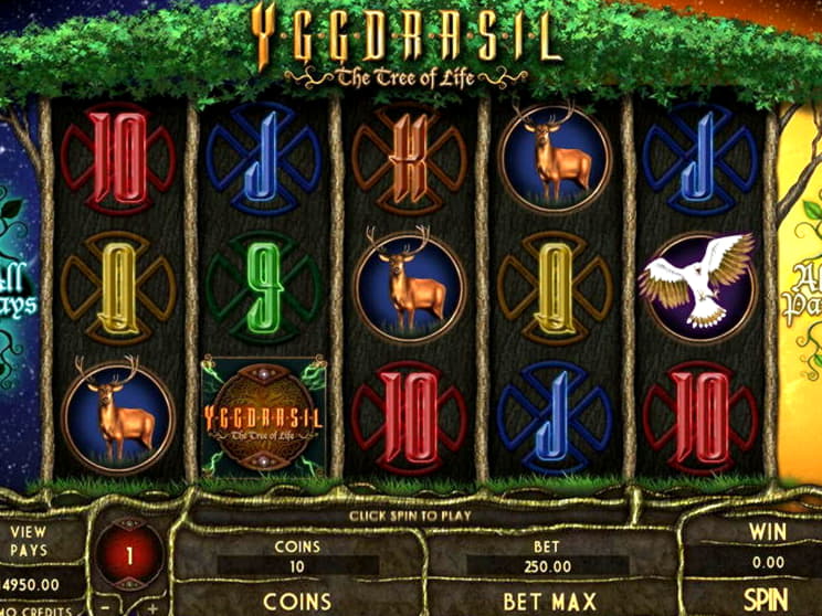 775% Deposit Match Bonus at Rich Casino