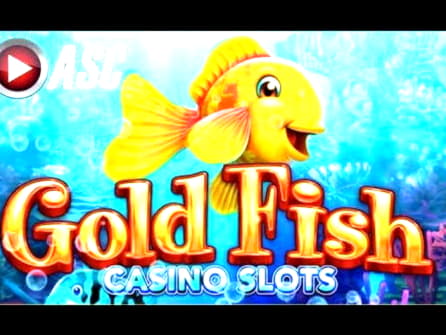 Eur 3750 No Deposit Casino Bonus at Maldives Casino 