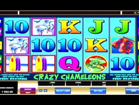265 FREE Spins at CoolCat Casino