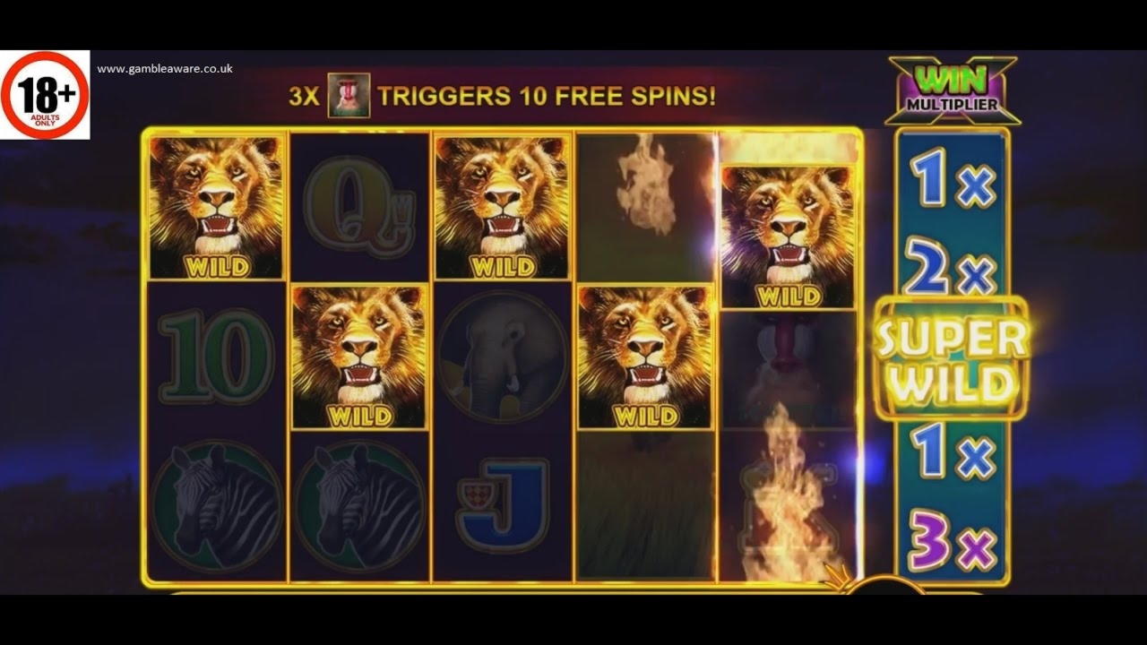 220% Signup casino bonus at Ignition Casino