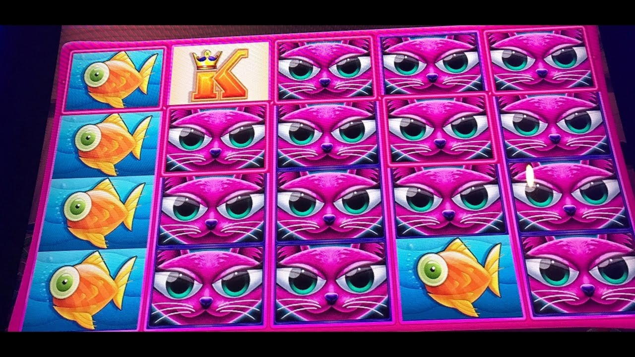 €3280 No deposit bonus code at Treasure Island Jackpots Casino (Sloto Cash Mirror)