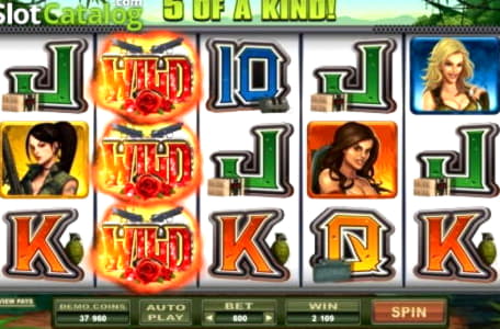 220 free spins at Emu Casino