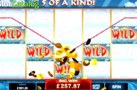 425% Signup Casino Bonus at Rich Casino