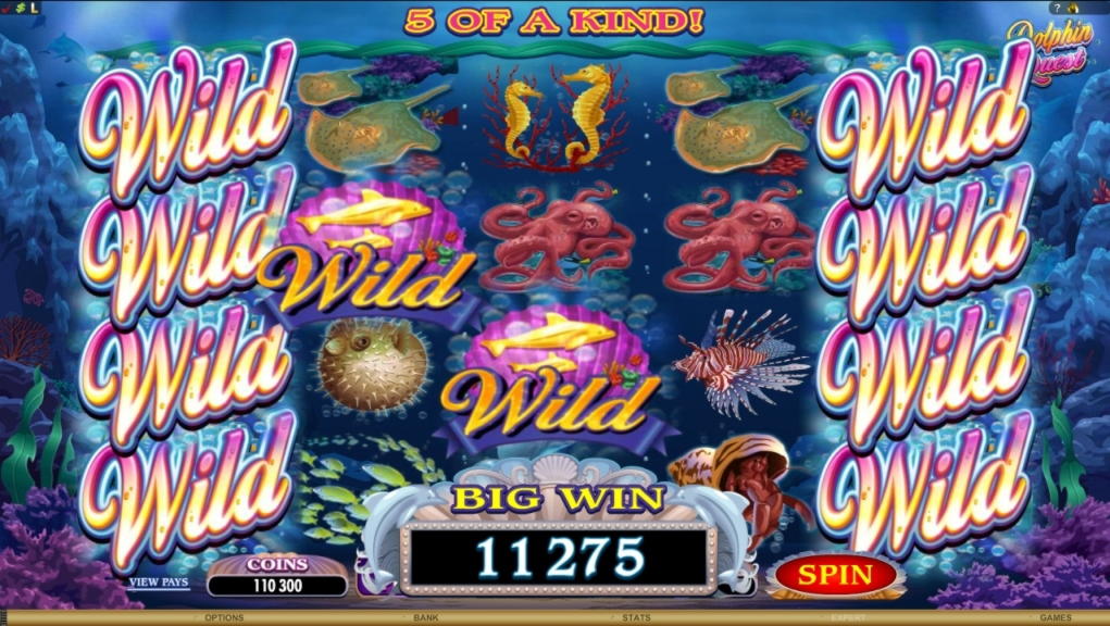 435% No Rules Bonus! at 24 VIP Casino