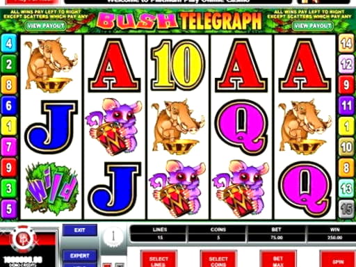 €505 Casino chip at Planet 7 Casino