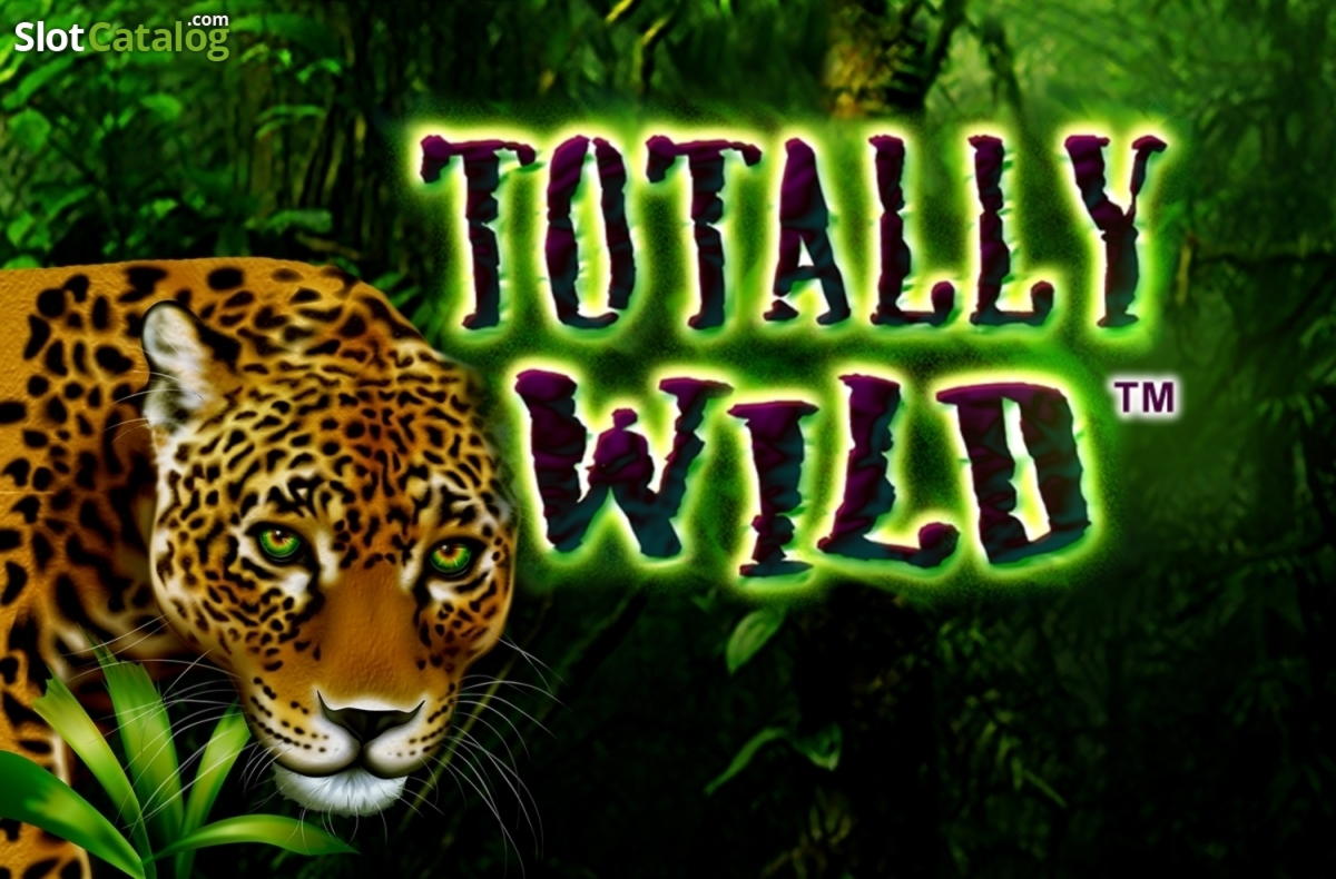 570% Deposit match bonus at 24 VIP Casino