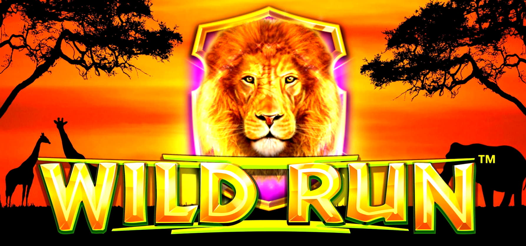 50 Free Spins right now at 7 Reels Casino