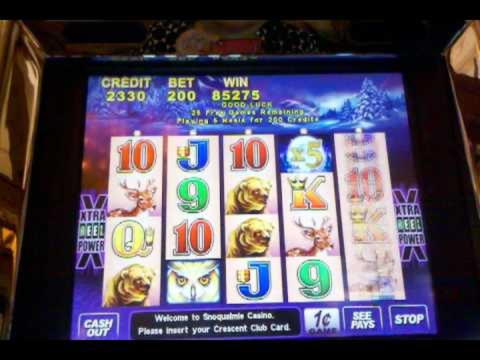 €185 Daily freeroll slot tournament at The Best Casino 