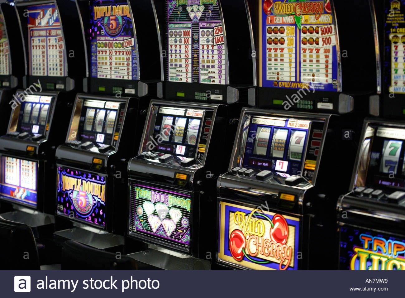EURO 205 Mobile freeroll slot tournament at Golden Lion Casino